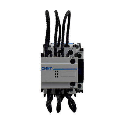 chint_03006_a.JPG